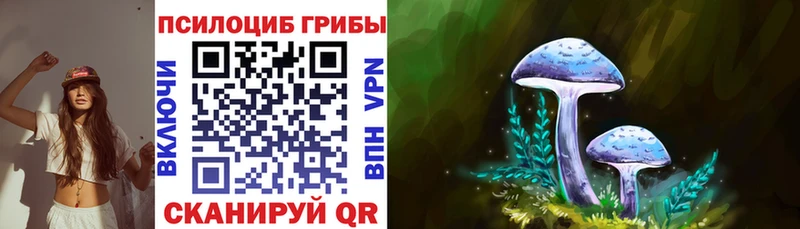 Псилоцибиновые грибы мухоморы omg онион Порхов